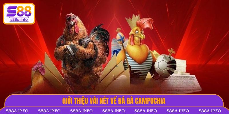 Đá Gà Campuchia Trực Tuyến Tại S88VIP - Kịch Tính Từng Giây Giới thiệu vài nét về Đá Gà Campuchia