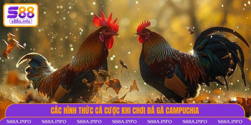 Đá Gà Campuchia Trực Tuyến Tại S88VIP - Kịch Tính Từng Giây Các hình thức cá cược khi chơi Đá Gà Campuchia