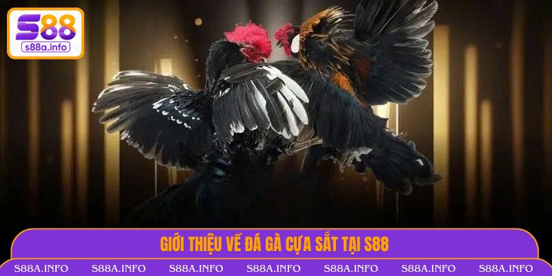 Giới thiệu về Đá Gà Cựa Sắt tại S88VIP 