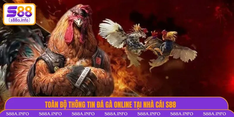Toàn bộ thông tin đá gà online tại nhà cái S88.VIP
